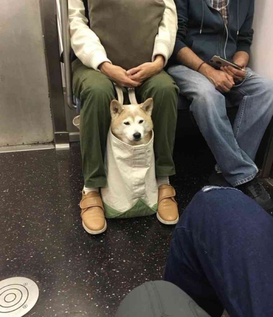 「これ好き」と思った画像をひたすら貼っていくトピ