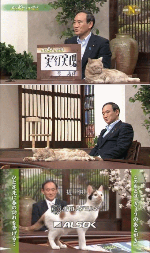「これ好き」と思った画像をひたすら貼っていくトピ