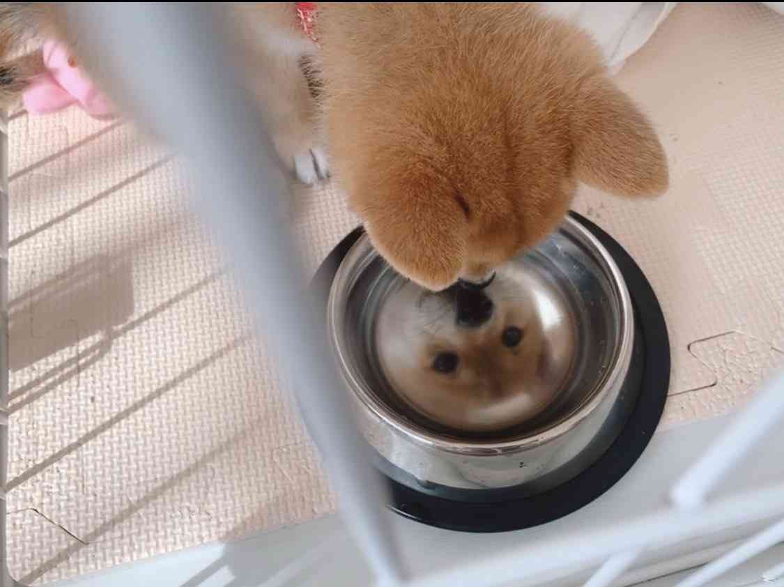 「これ好き」と思った画像をひたすら貼っていくトピ