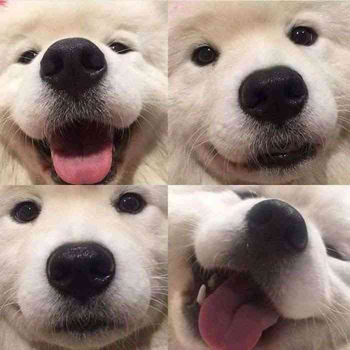 「これ好き」と思った画像をひたすら貼っていくトピ