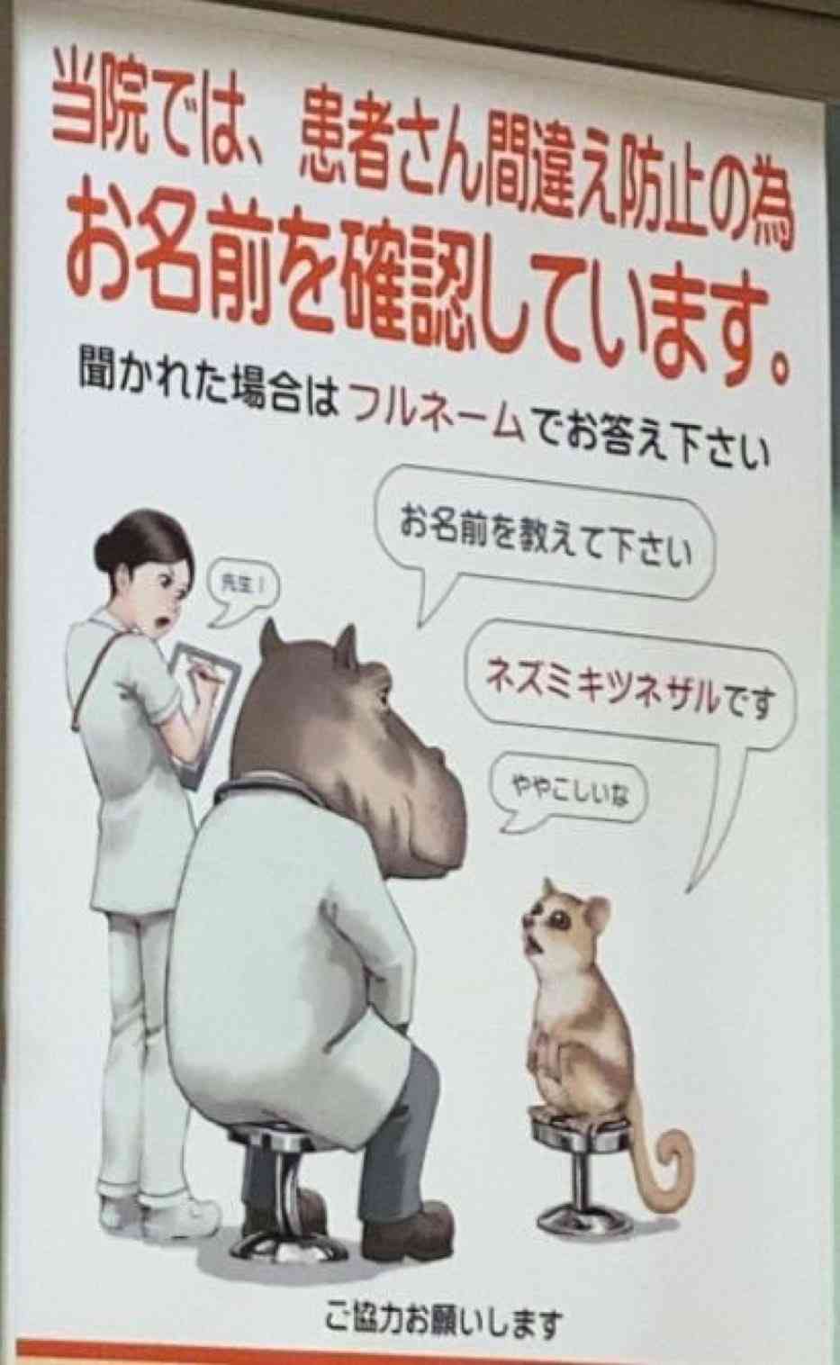 「これ好き」と思った画像をひたすら貼っていくトピ