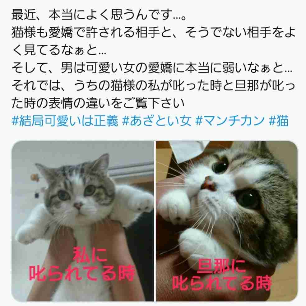 「これ好き」と思った画像をひたすら貼っていくトピ