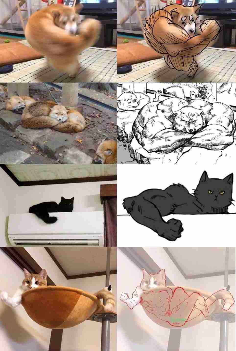 「これ好き」と思った画像をひたすら貼っていくトピ