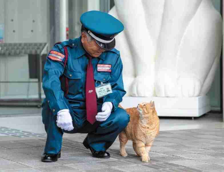「これ好き」と思った画像をひたすら貼っていくトピ