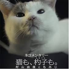 ネコメンタリー好きな人