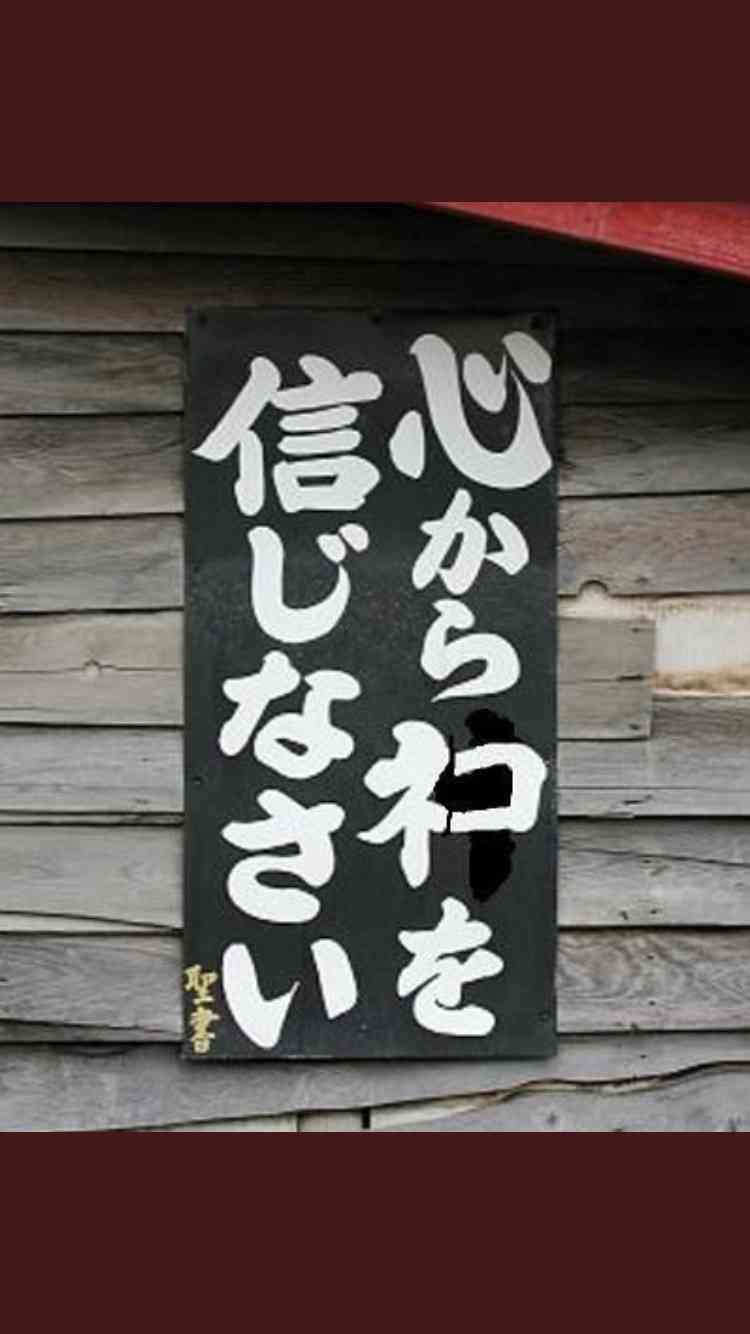 ネコメンタリー好きな人