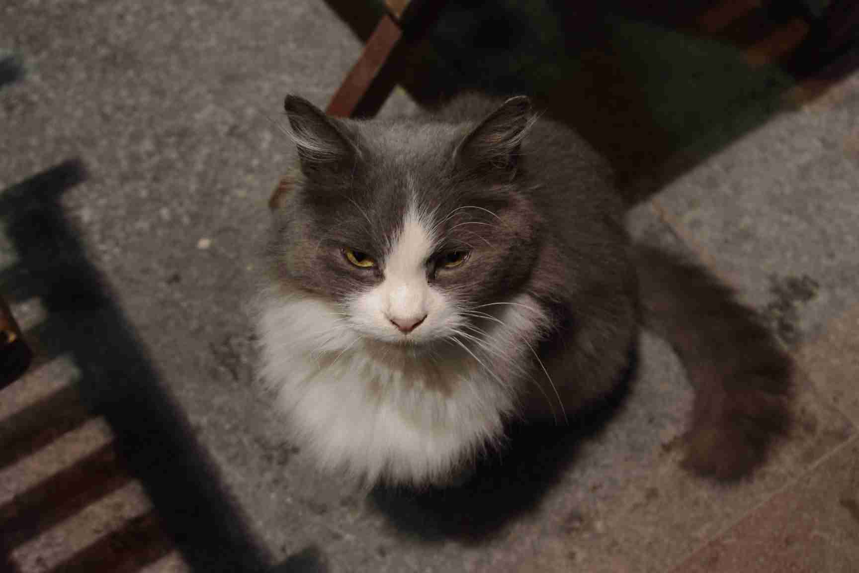 トルコをそろそろ語りませんか?