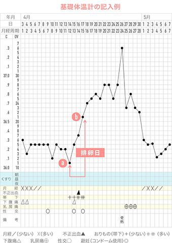 基礎体温測ってますか?
