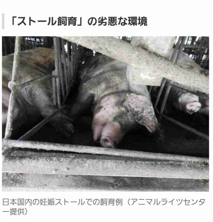 魚を使わぬヴィーガン寿司の衝撃