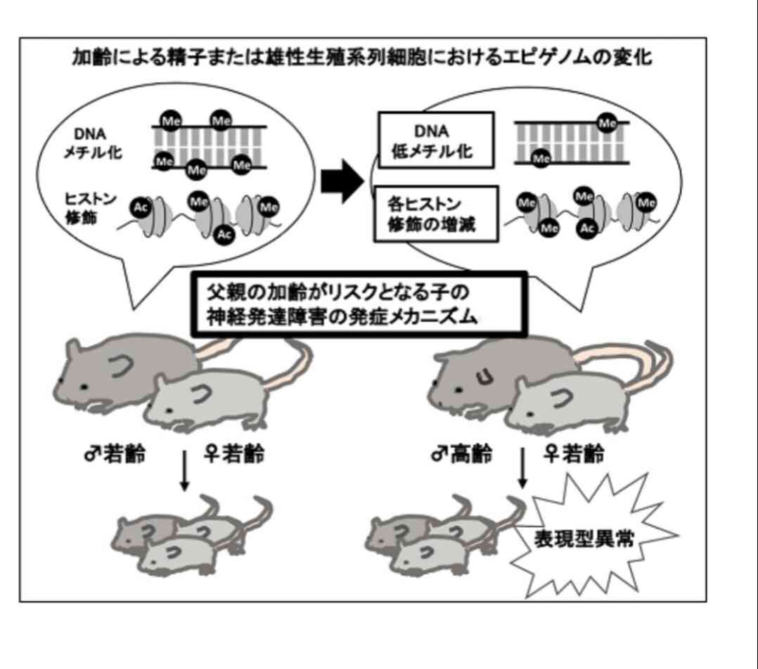 「子どもを殺したい」わが子を介護する高齢の親たちの孤独と苦悩、悲痛な叫び