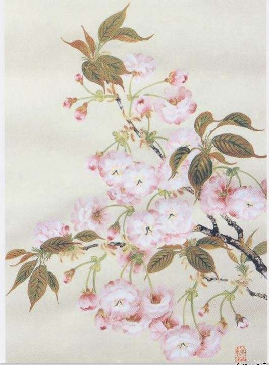 どうでもいい皿ほどなかなか割れない