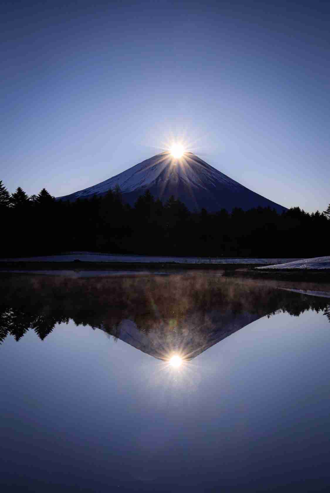 どうでもいい皿ほどなかなか割れない