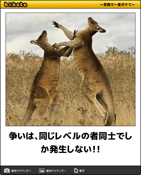 結婚したい独身男性芸能人を連れ去るトピ(早い者勝ち)