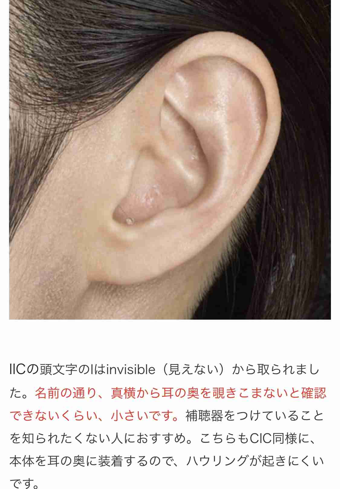 苦手な魚