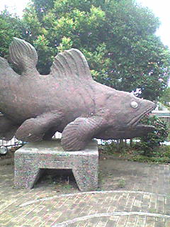 苦手な魚