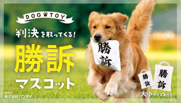 画像を貼ると誰かがトピタイを考えてくれるトピPart10