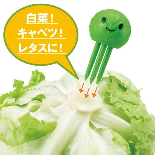 カット白菜の鮮度を長持ちさせるコツ 農家の投稿に驚きの声が続々