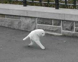 Googleマップに自分が写ってる人