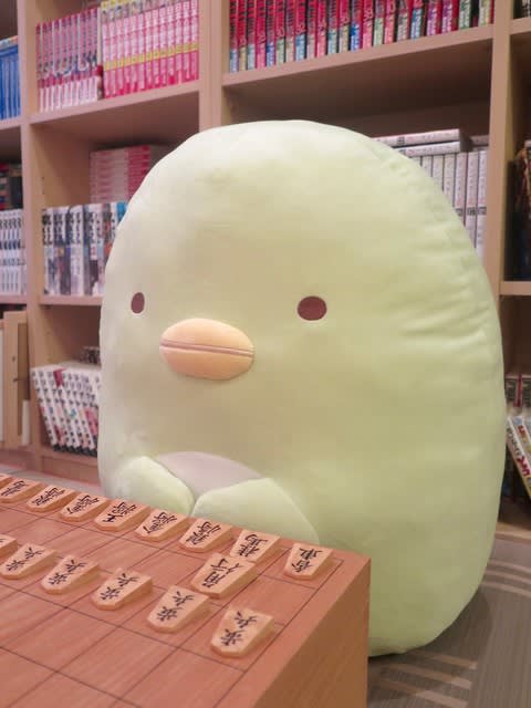 藤井竜王 恒例“勝者の一枚”内容に興味津々「撮影って結構ハードなんですね」