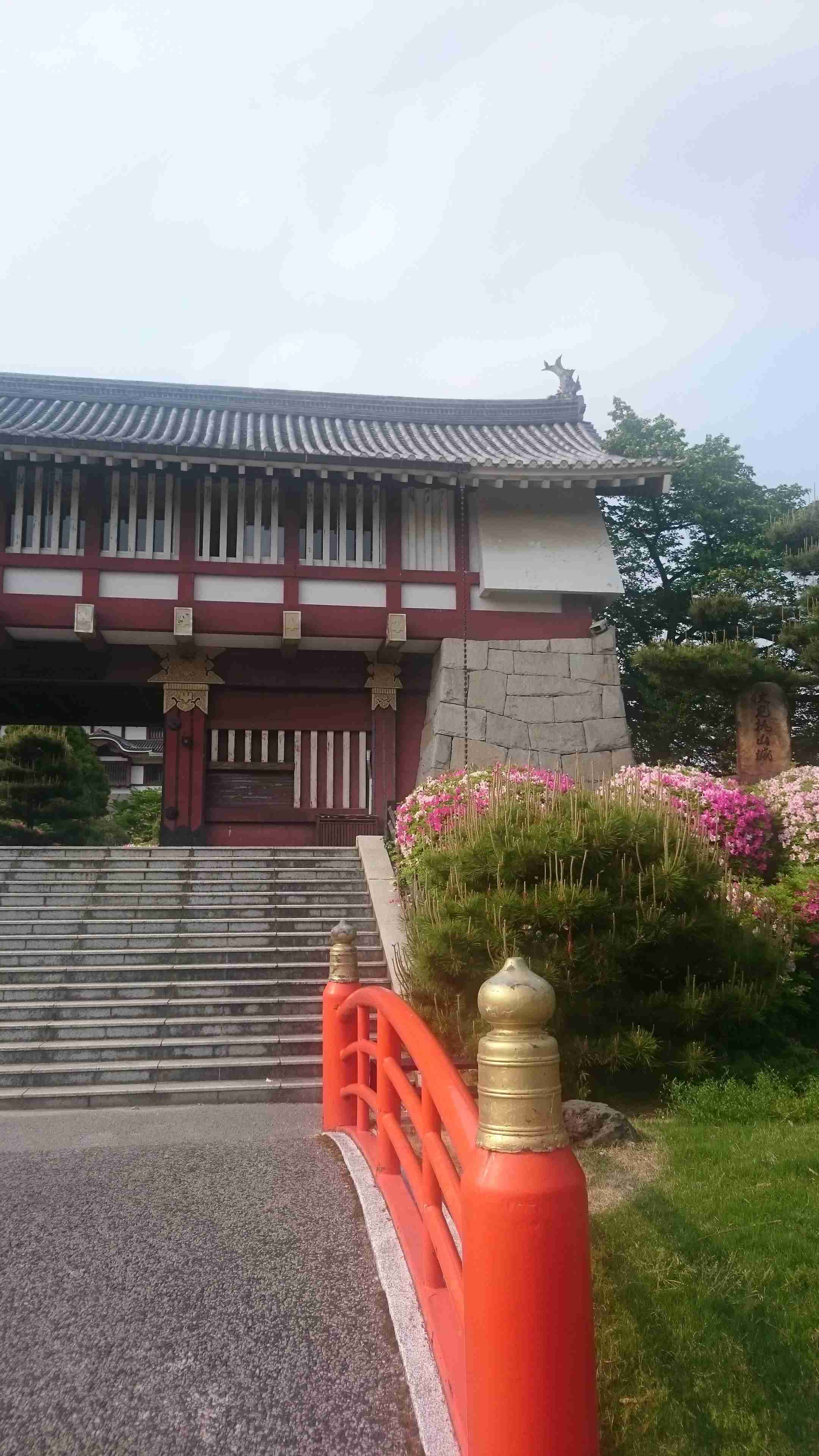 若い頃に遊んだ施設やスポットを懐かしむトピ。