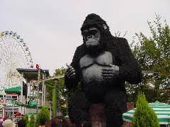 若い頃に遊んだ施設やスポットを懐かしむトピ。