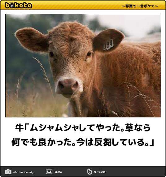 「患者にむしゃくしゃした」　帰宅途中コンビニでビール飲み車運転　容疑で介護職員逮捕