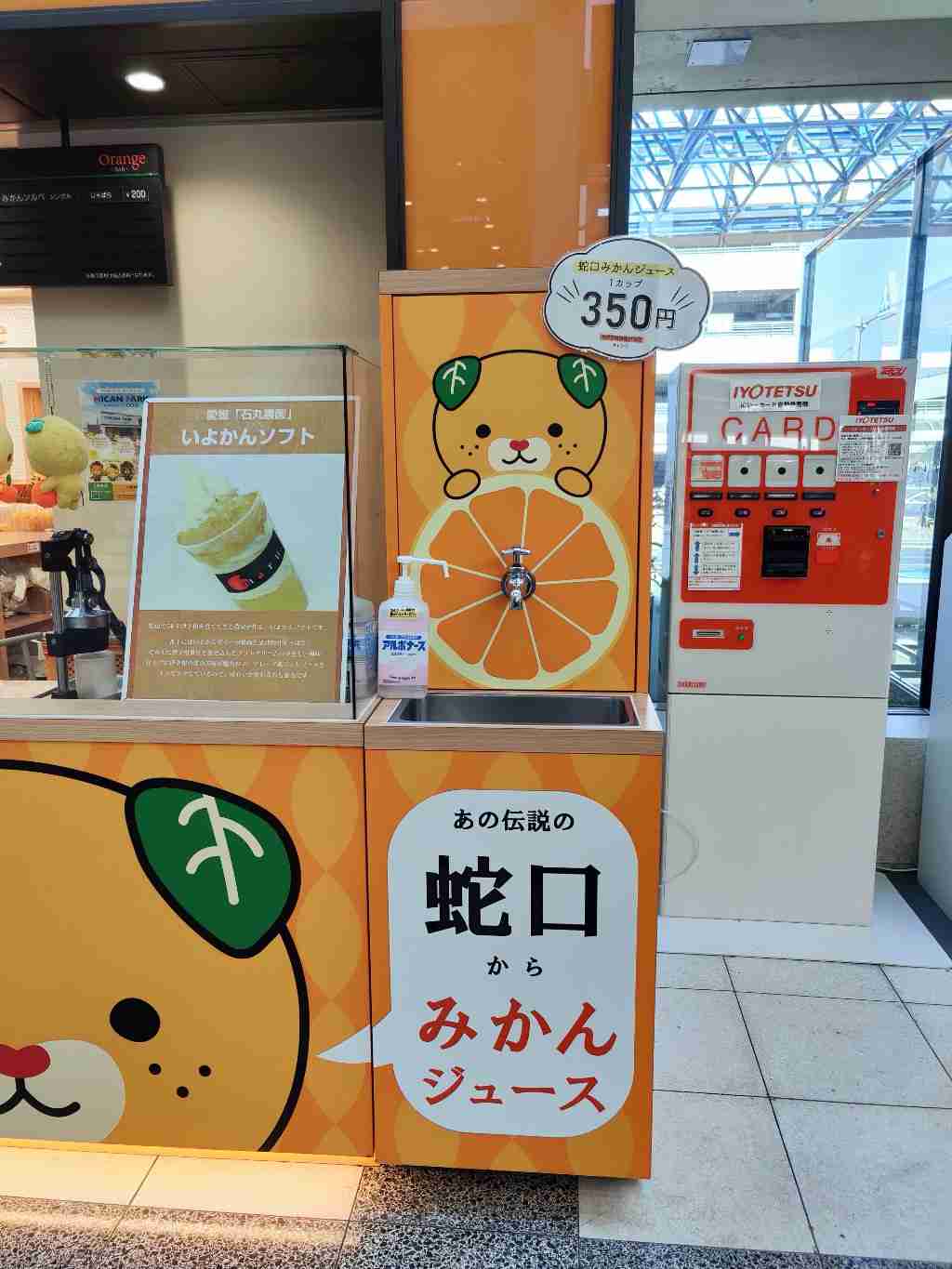 みかん好きな人