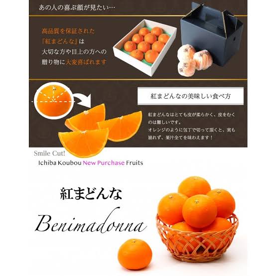 みかん好きな人