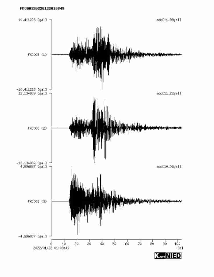 年に一度の行事で首が折れ曲がったまま歩くマスコット　「寝違えたの？」（スペイン）