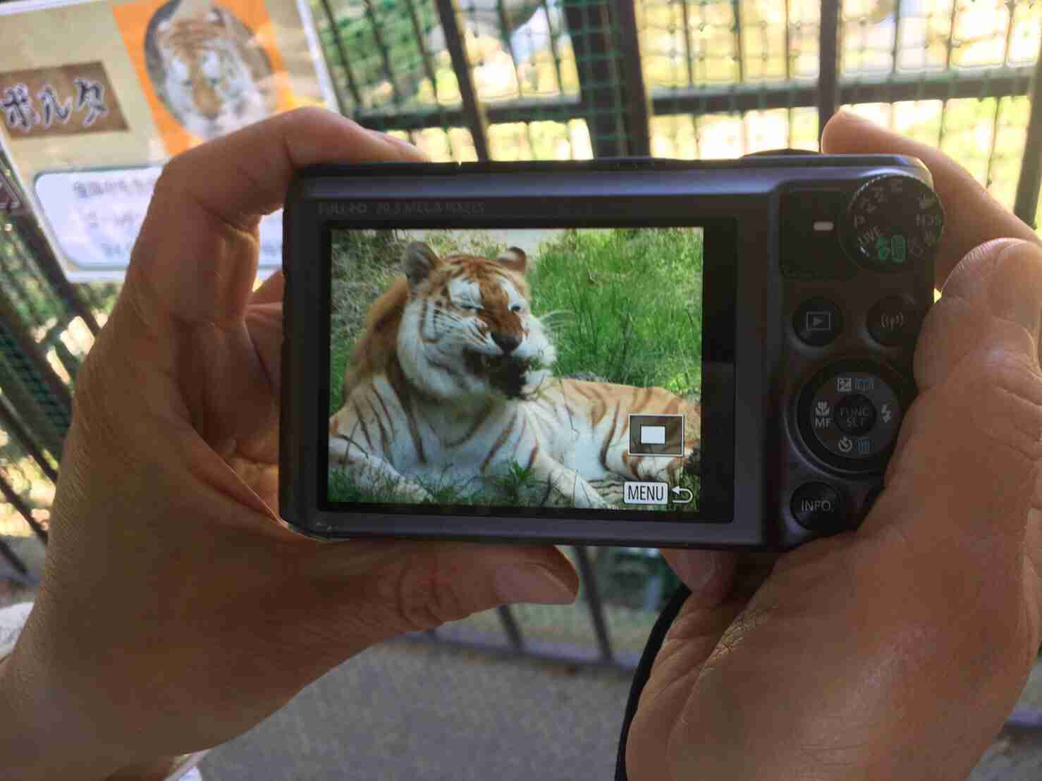 那須サファリパーク飼育員ら男女3人、トラにかまれ負傷…急きょ休園