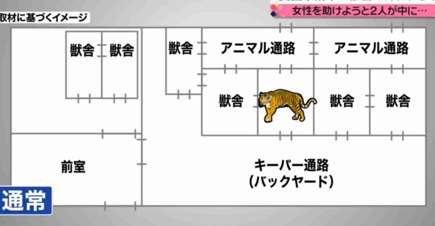 那須サファリパーク飼育員ら男女3人、トラにかまれ負傷…急きょ休園