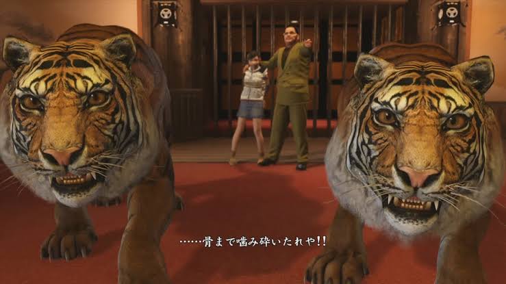 来年の干支🐯色んな虎を貼っていきましょう