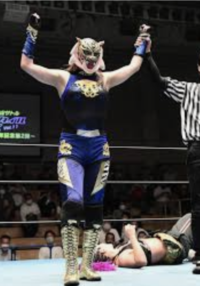 来年の干支🐯色んな虎を貼っていきましょう