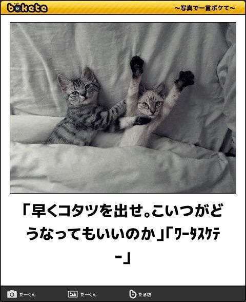 こたつの魔力…布団の代わりにこたつで寝起き！あたたかくてやめられない