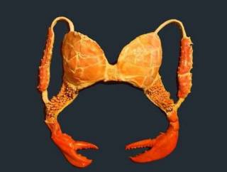 【深夜トピ】ダサい下着選手権!!