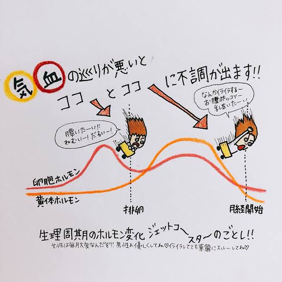 女性は排卵期前に美人顔になる？「身体のメカニズム」を解説