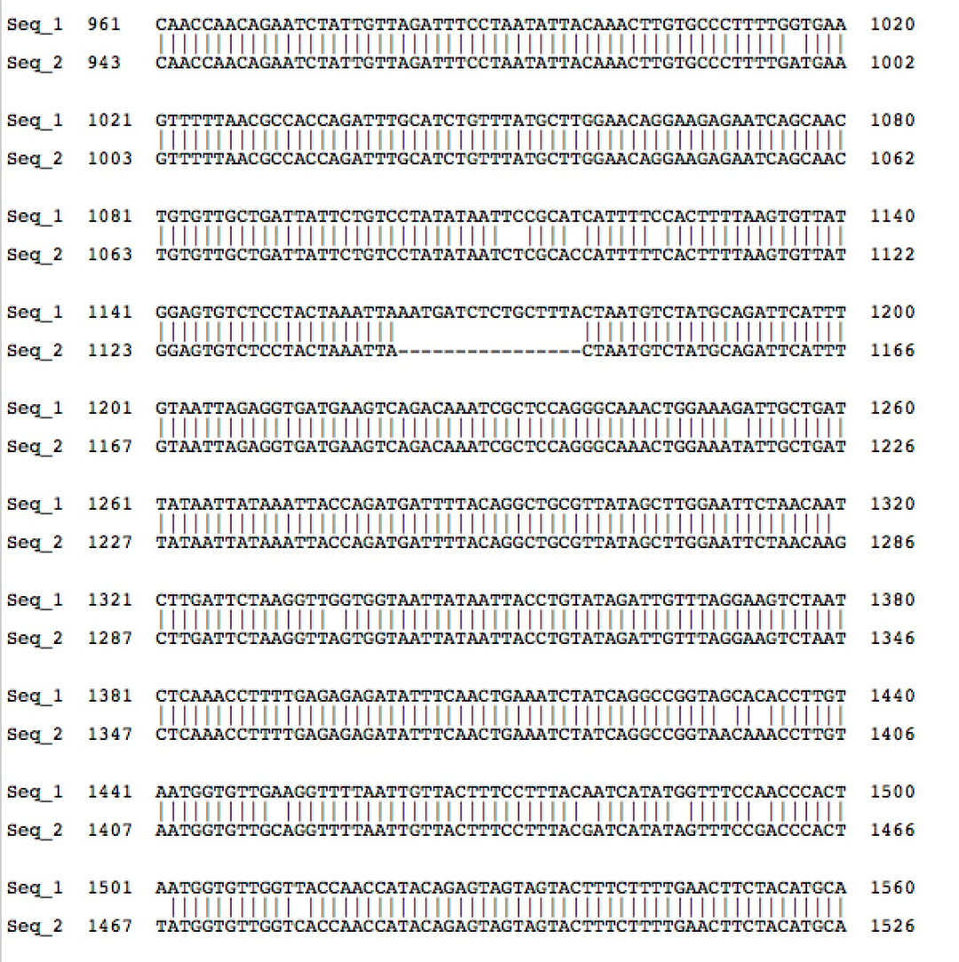 東京の新型コロナ感染者100人超の見通し 約3か月ぶり