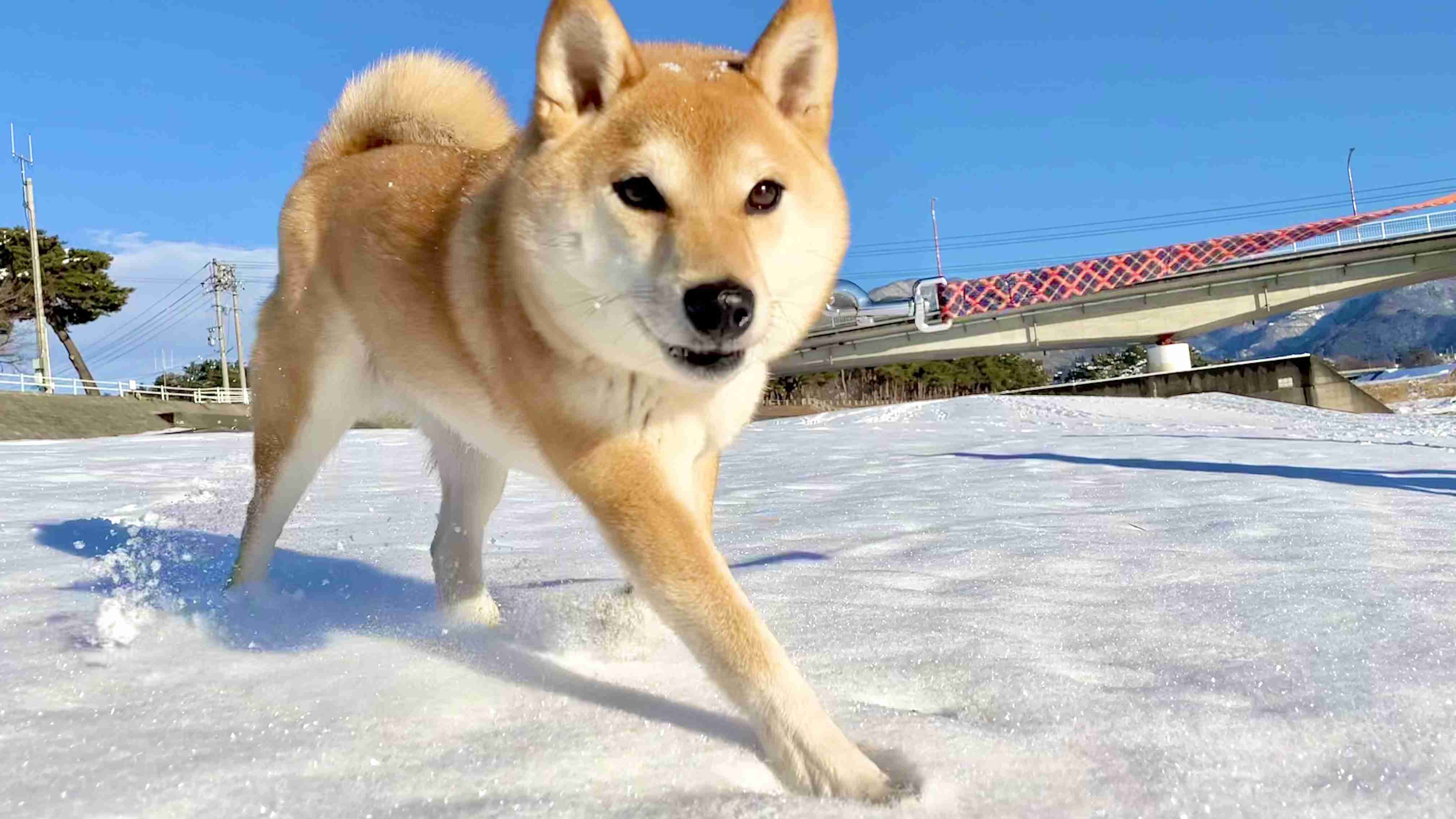 一目惚れしたことありますか？