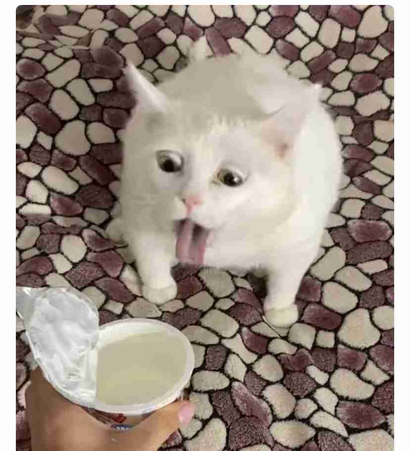 「好きだから結婚したかった」婚姻届を偽造し提出 30代男を逮捕