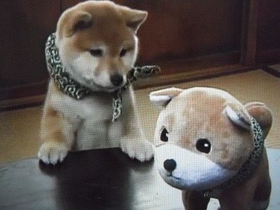 相談や愚痴や悩みなど誰に話しますか?