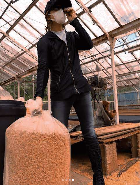 YOSHIKI『格付け』で食べた銘菓が“爆売れ”、販売店は「製造が追いつかない」
