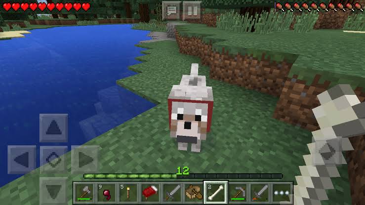 【マイクラ】マインクラフトについて語りましょう【Minecraft】