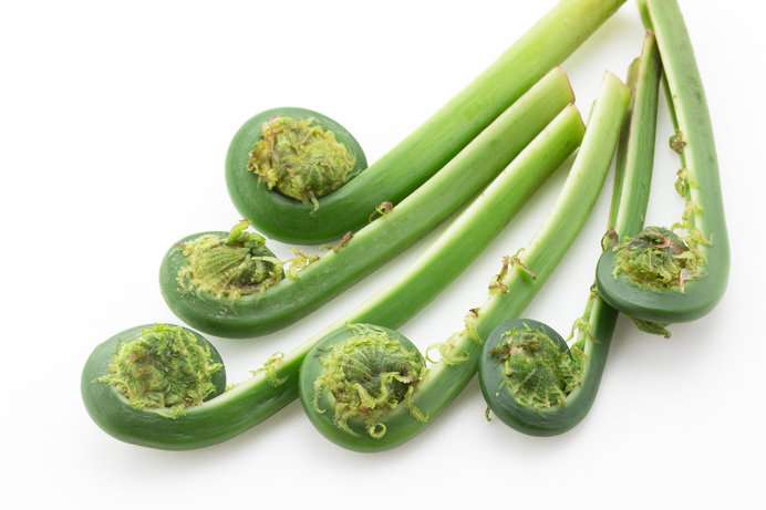 【写真撮影】カメラ目線？はずす？