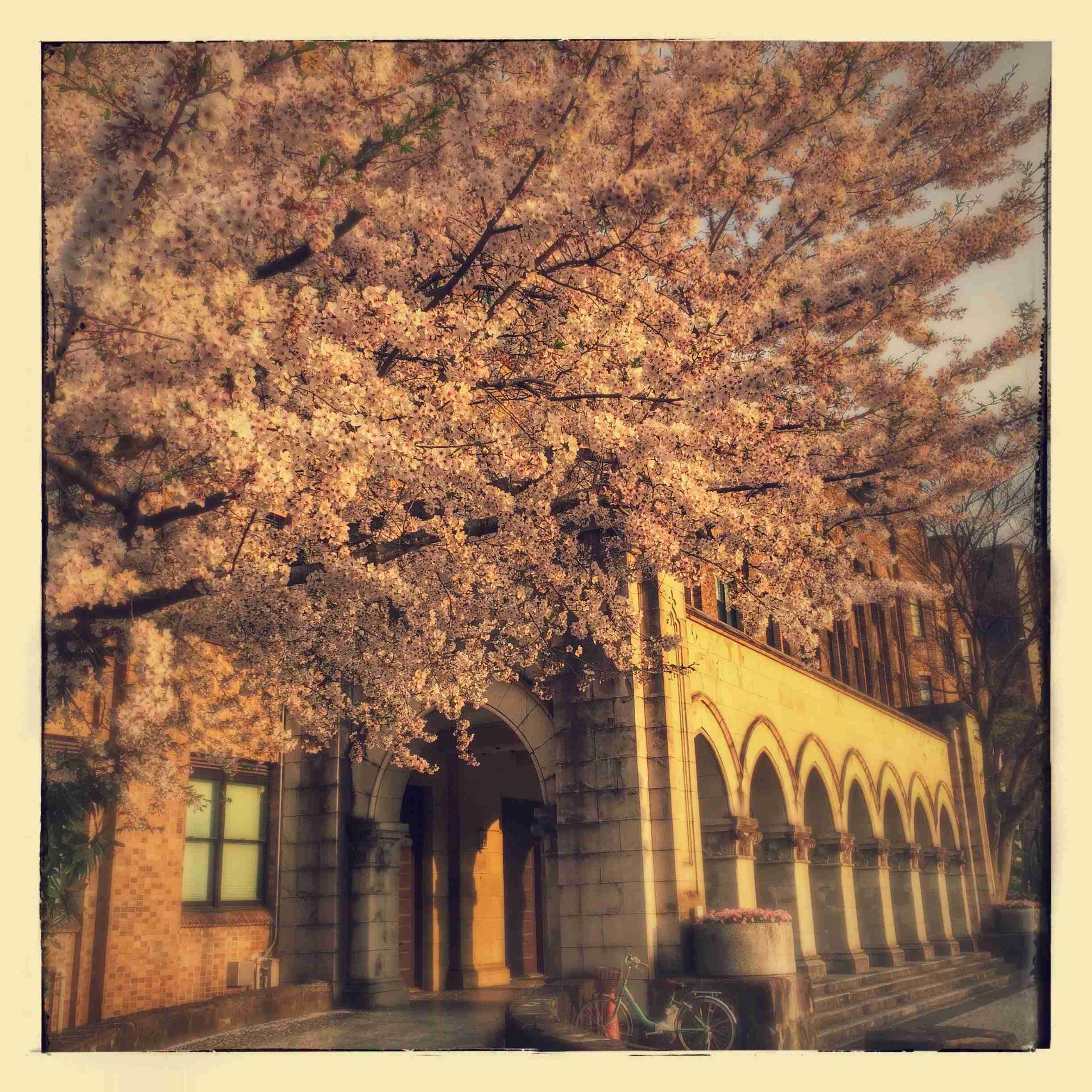 東京都内で日本の伝統を感じる場所はありますか？