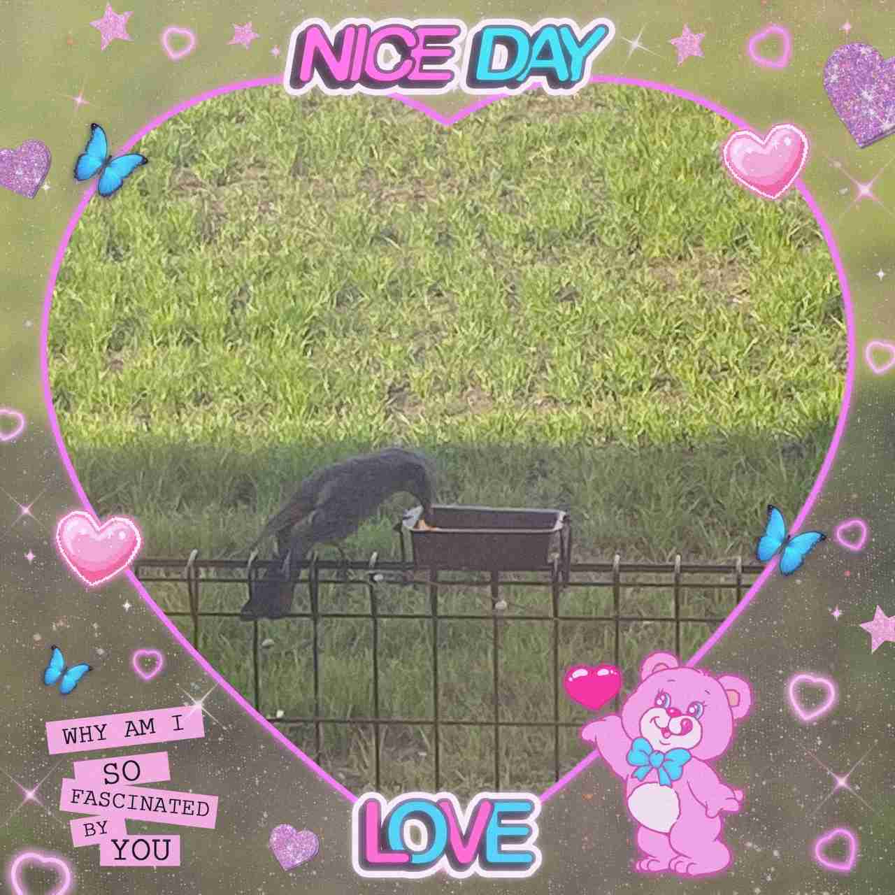 自分で撮った写真を適当に加工するトピPart２