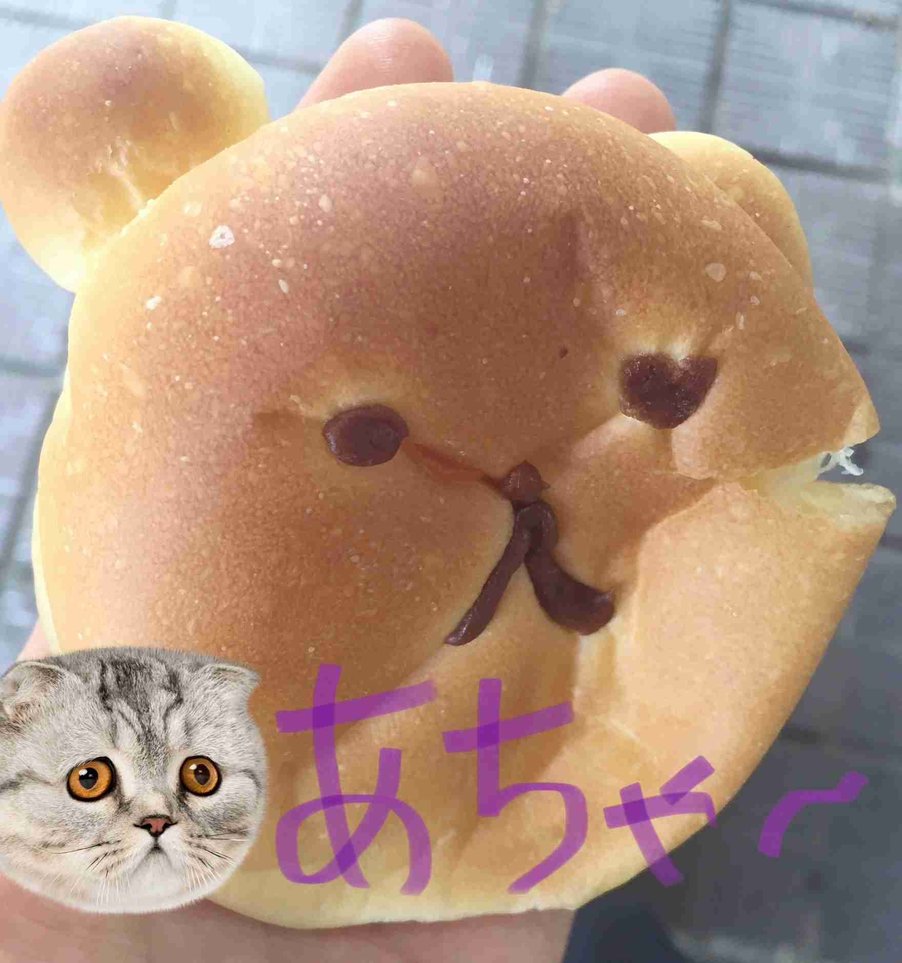 自分で撮った写真を適当に加工するトピPart２