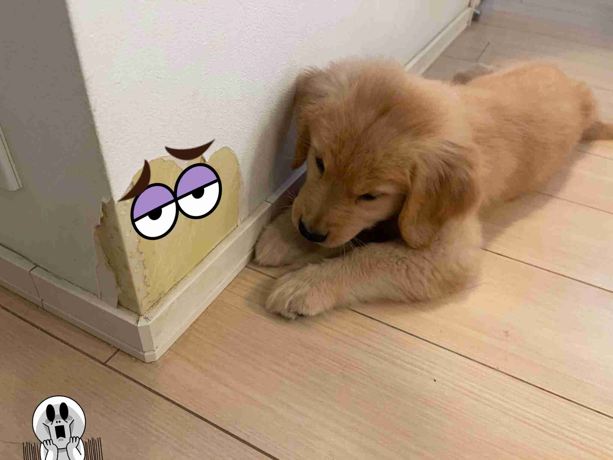 自分で撮った写真を適当に加工するトピPart２