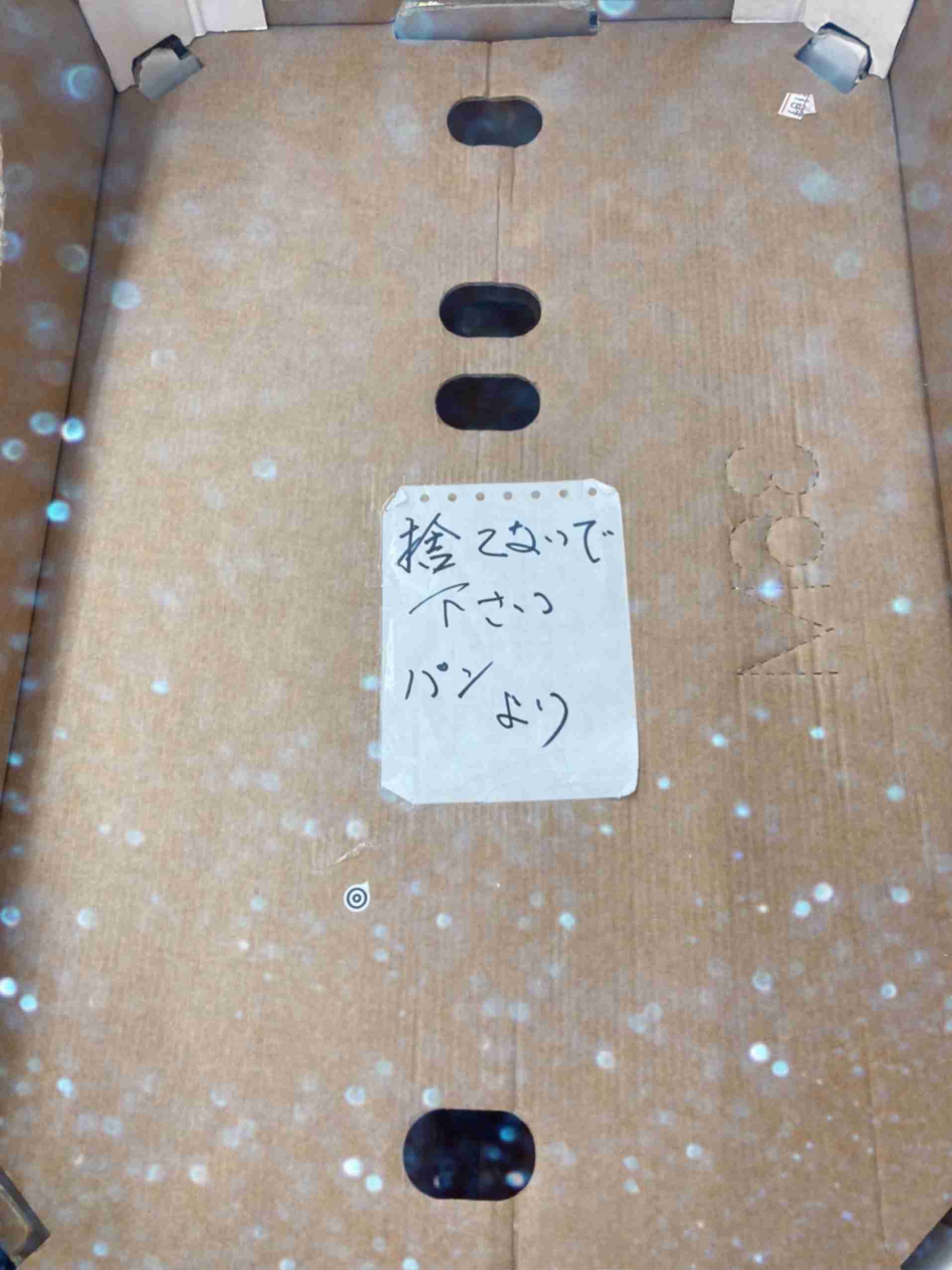 自分で撮った写真を適当に加工するトピPart２