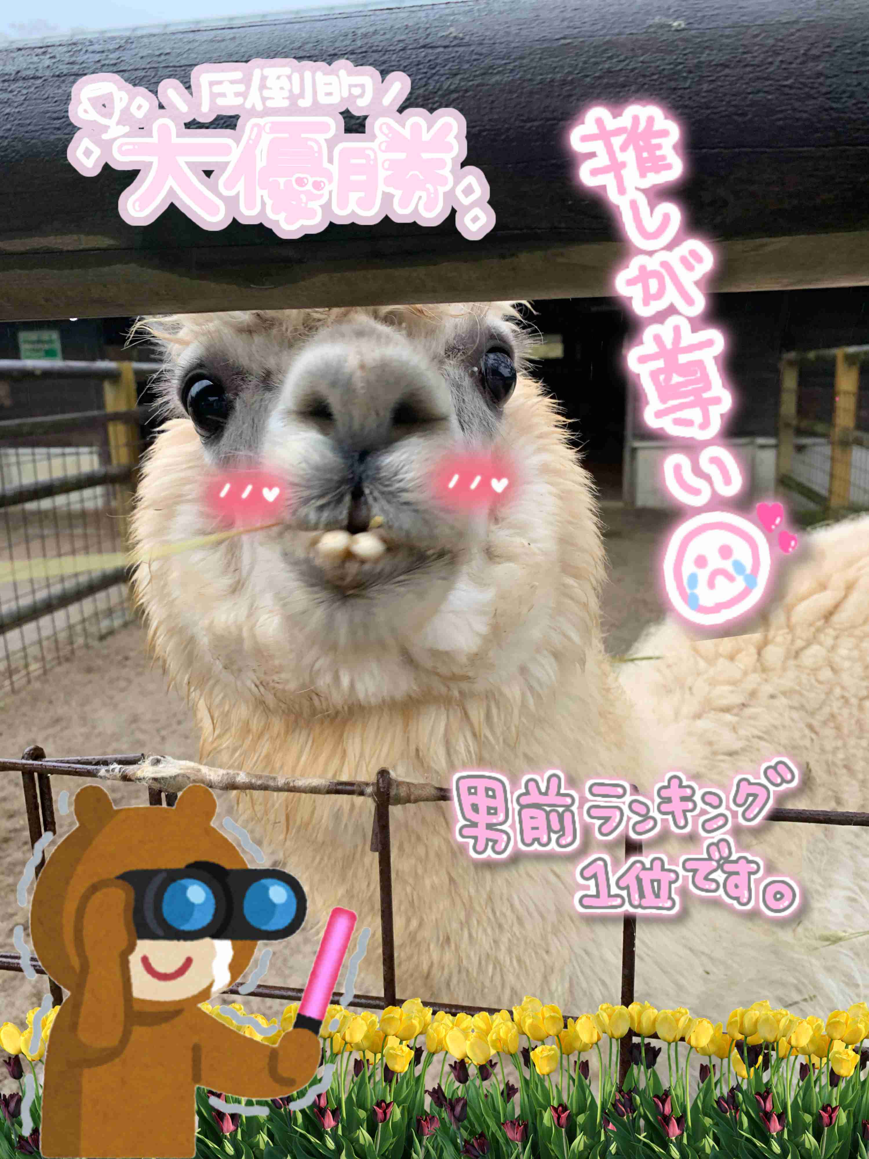 自分で撮った写真を適当に加工するトピPart２