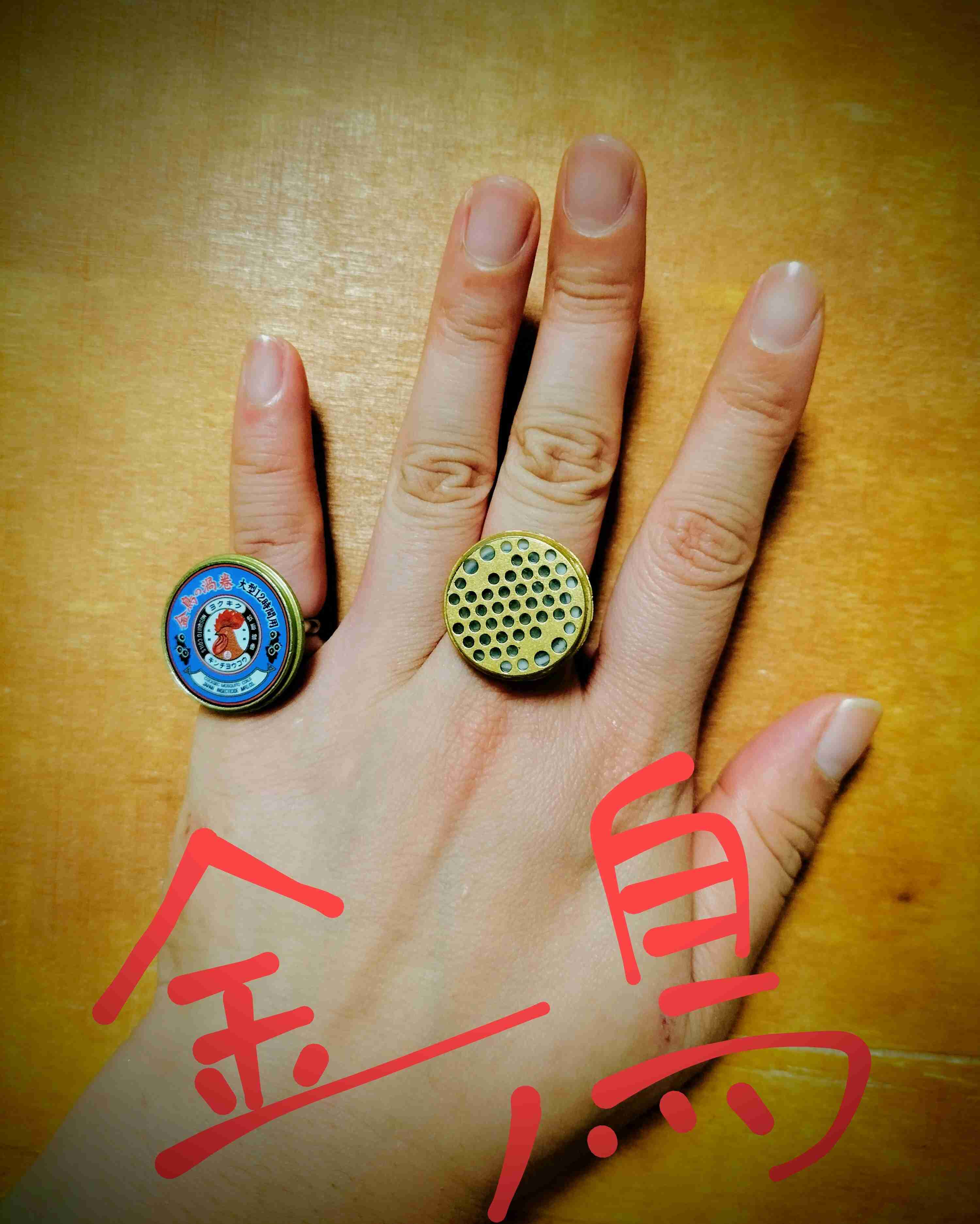 自分で撮った写真を適当に加工するトピPart２